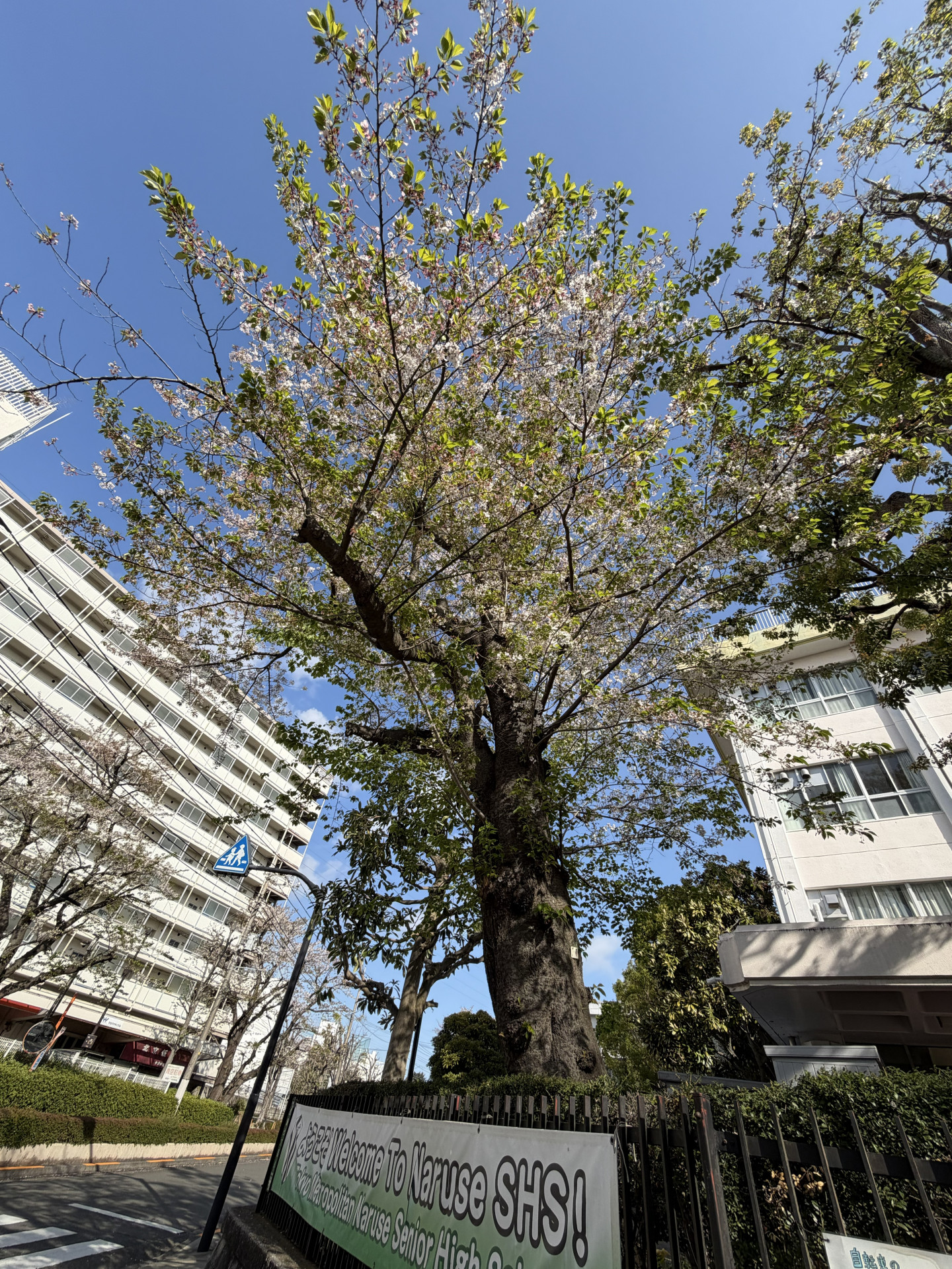 20260408_230520249_iOS 1